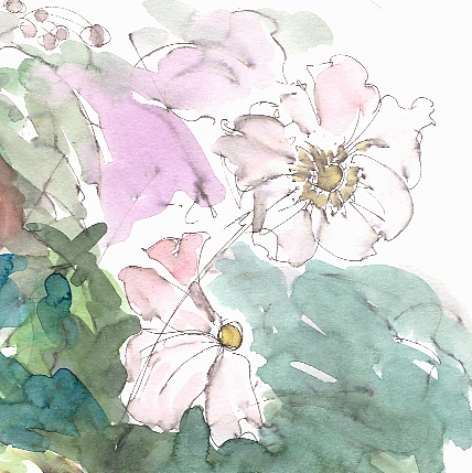 Anemone - pretty in pink - detail