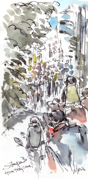 Cycling art, Tour de France, Watercolour painting Here they come! by Maxine Dodd