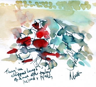 Six Nations: Ireland v Wales by Maxine Dodd, watercolour, pen and ink