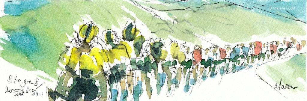 Stage 8, A long peloton, watercolour, pen and ink, by Maxine Dodd